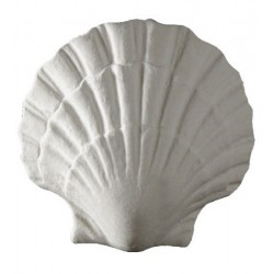 Ornement 730 Coquillage