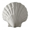 Ornement 730 Coquillage