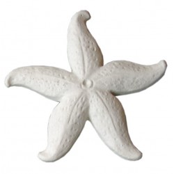 Ornamanto decoro 728 stella di mare