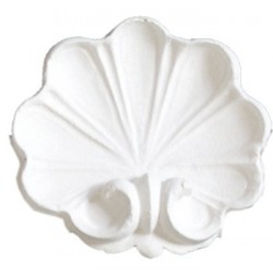 Ornement 258 Coquille sans volutes