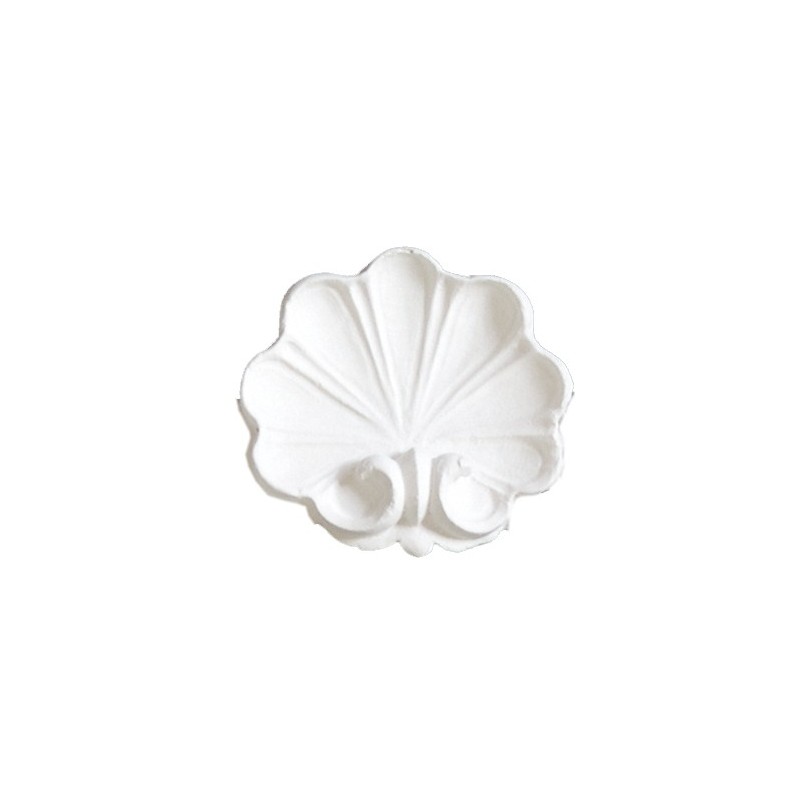 Ornement 258 Coquille sans volutes