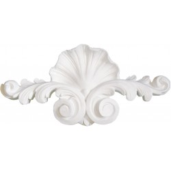 Ornement 255 Coquille avec volutes