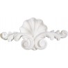 Ornement 255 Coquille avec volutes