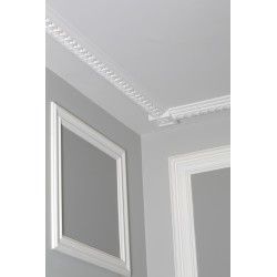 Raccord 315 BORDER