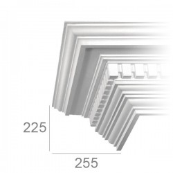 Ornamented ceiling cornice...