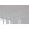 Moulding 383 REDENT