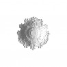 Rosette 47