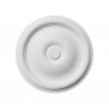 Rosette 241