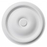 Rosette 241a