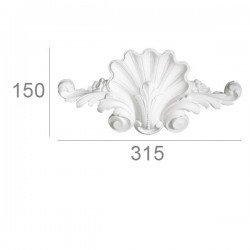 ornement  coquillage à volute