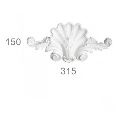 ornement coquillage à volute ornement coquillage à volute