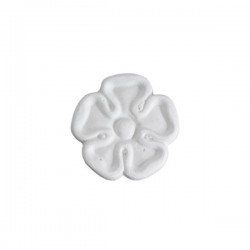 Bouton 309