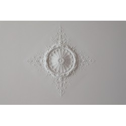 Rosette 429