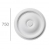 Rosette 241a