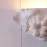 Applique 405