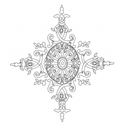 Rosette 428