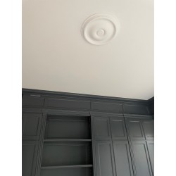 Rosette 241