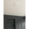 Rosette 241