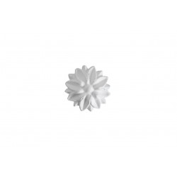 Bouton 305