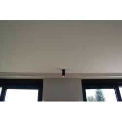 Ceiling cornice 229