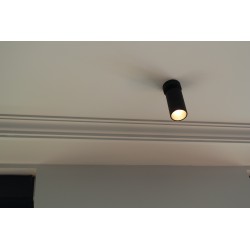 Ceiling cornice 229