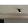 Ceiling cornice 229