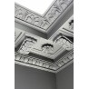 Corniche de plafond ornée 202