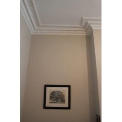 gipsum cornice with flower 190