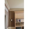Ornamented ceiling cornice 189