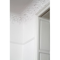 Ornamented ceiling cornice 188