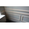 Moulding 386 NEO