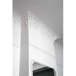 Ornamented ceiling cornice 188