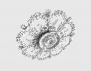 Plaster rosettes